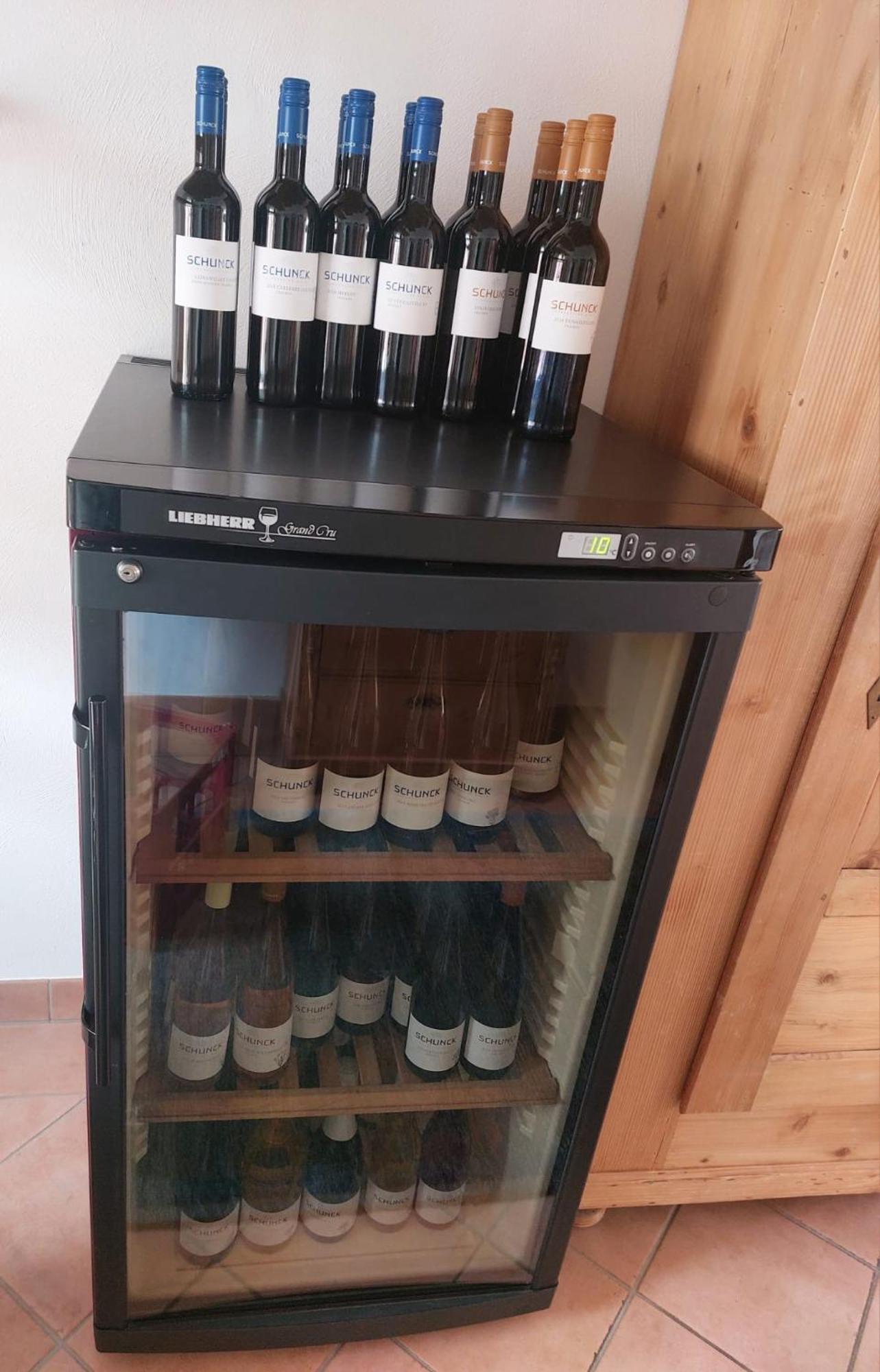 Appartement Weingut Schunck à Leinsweiler Extérieur photo